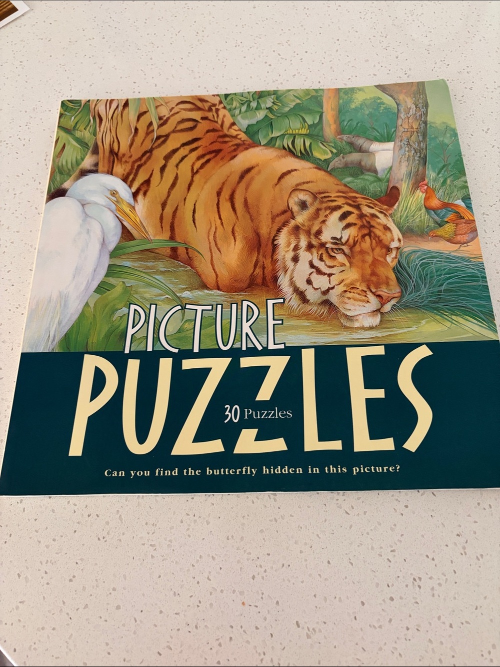 Picture Puzzles Book - 30 puzzles look and find!